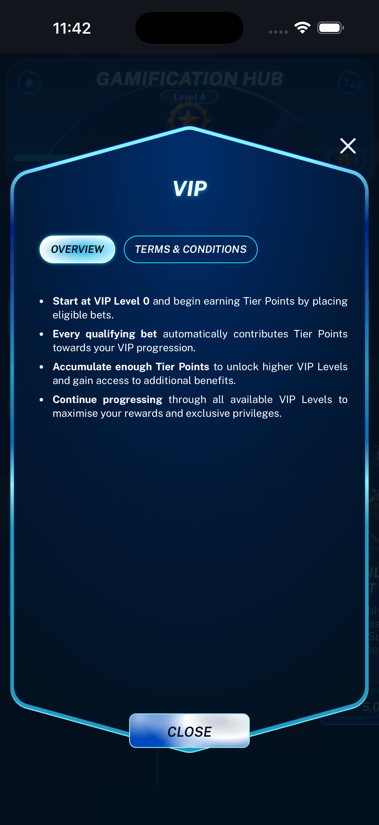 VIP Overview tab displayed on a mobile phone